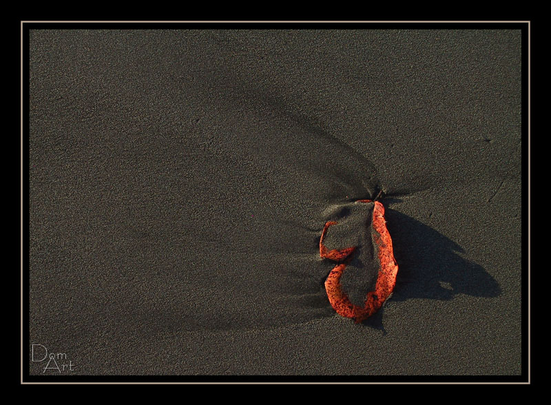 Tableau de sable2.jpg